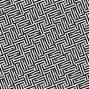 optical illusion 10