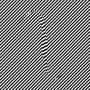 optical illusion 9