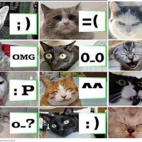 funny crazy pics 8