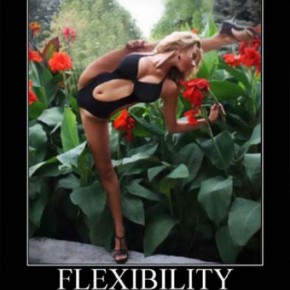 demotivational sexy pics 14