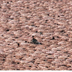 spencer tunick naked bums 16