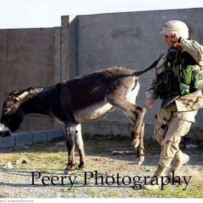 army funny photos 1