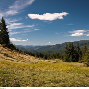 beauty of carpathians 10