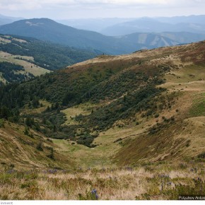 beauty of carpathians 12