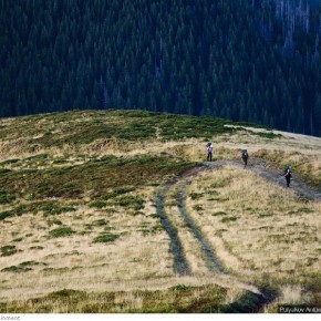 beauty of carpathians 17