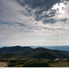 beauty of carpathians 20