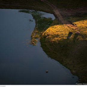 beauty of carpathians 29