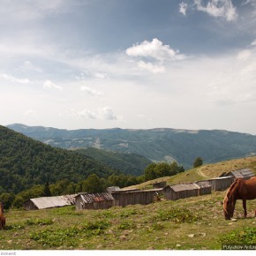 beauty of carpathians 3