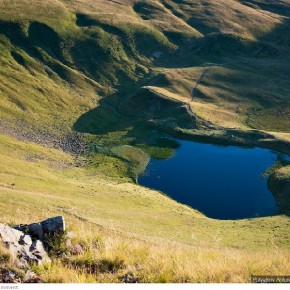 beauty of carpathians 30