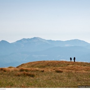 beauty of carpathians 33