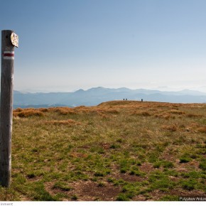 beauty of carpathians 34