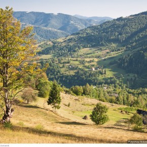 beauty of carpathians 42