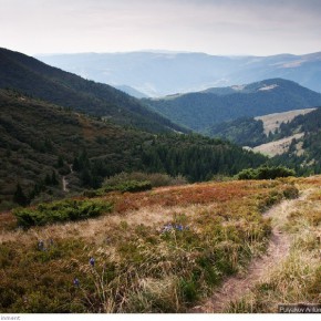 beauty of carpathians 52