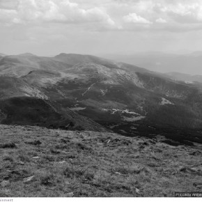 beauty of carpathians 55