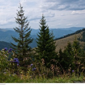 beauty of carpathians 6