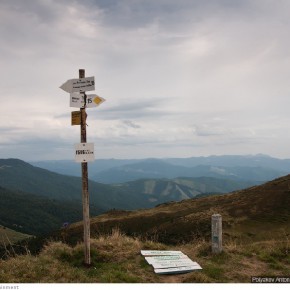 beauty of carpathians 67