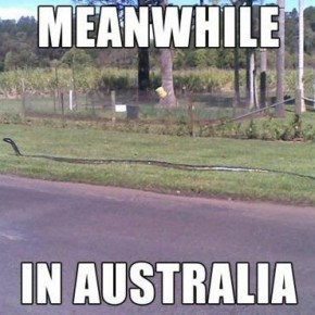 meanwhile in australia 2