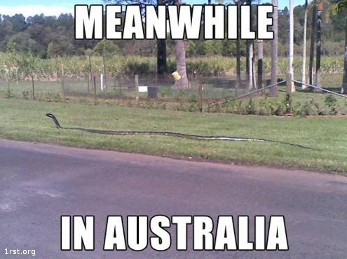 meanwhile in australia 2