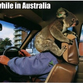 meanwhile in australia 21
