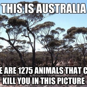 meanwhile in australia 3