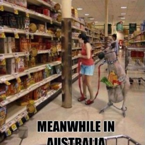 meanwhile in australia 4