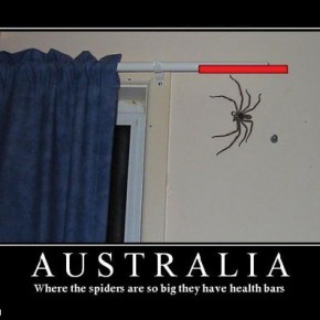 meanwhile in australia 6