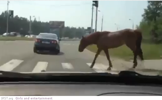driving in russia