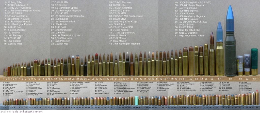 all ammunition types