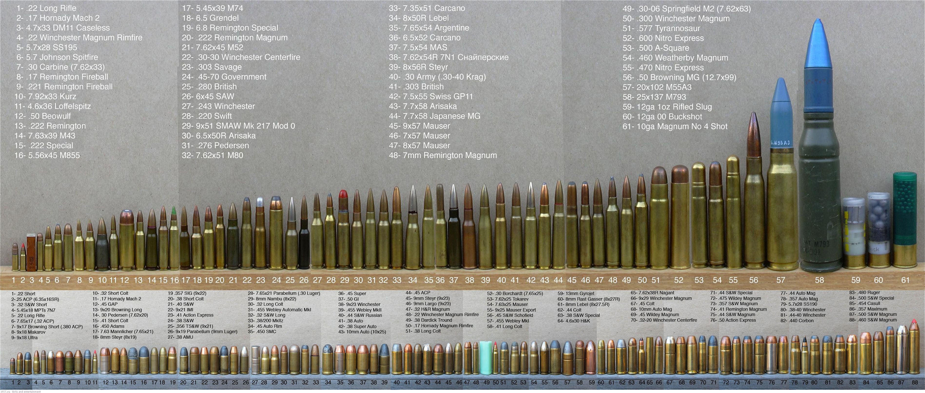 all ammunition types