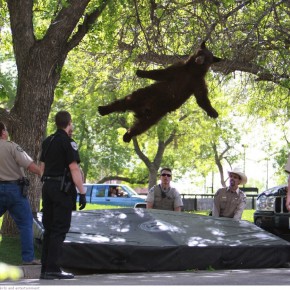 associated press photos of 2012 24