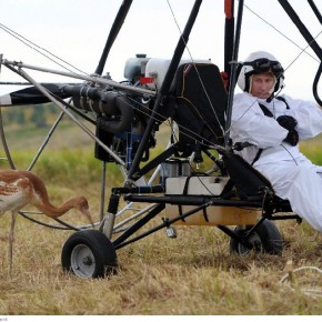 associated press photos of 2012 33