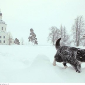 best russian photos 2012 37