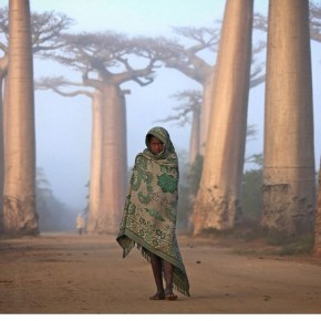 national geographic winners 2012 8