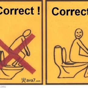 funny toilet sign v