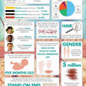 50 hair facts