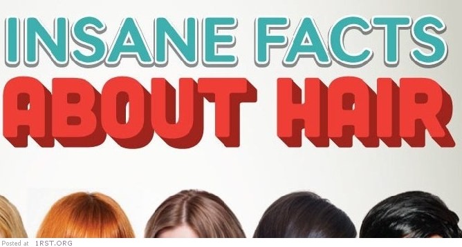 50 hair facts b