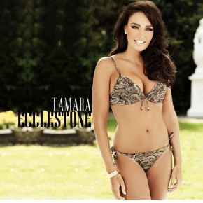 tamara ecclestone bikini lingerie 21