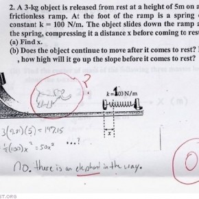 unexpected test answers i