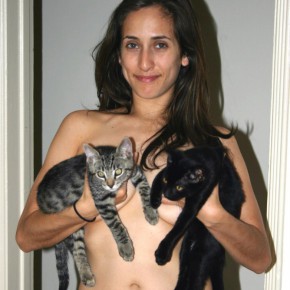 cats vs tits 15