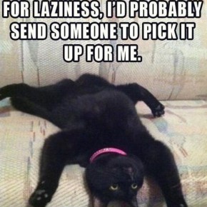 example of extreme laziness c