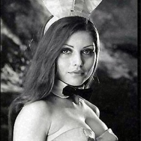 playboy bunnies old y