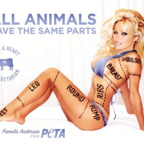 best PETA posters i