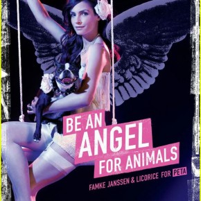 best PETA posters o