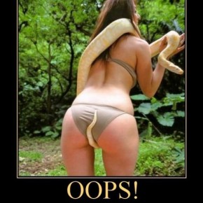 demotivational girls asses 5